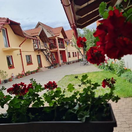 Vila Vladut Зернешті Екстер'єр фото
