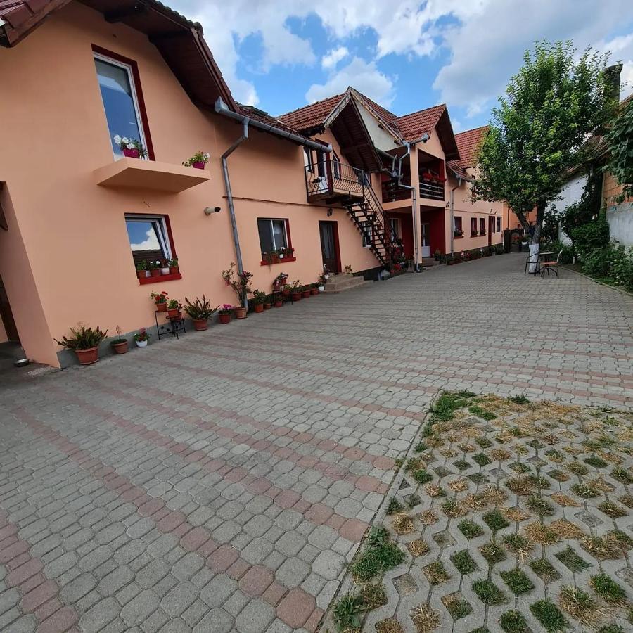 Vila Vladut Зернешті Екстер'єр фото