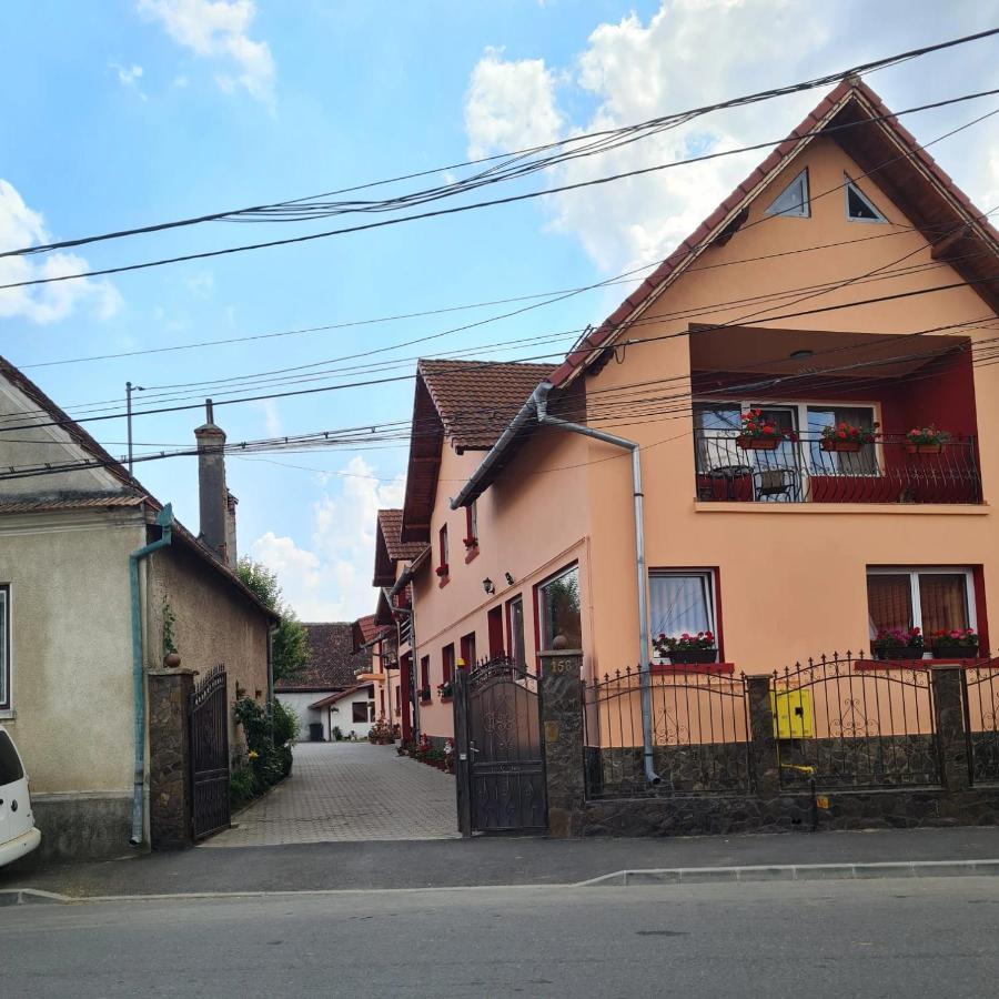 Vila Vladut Зернешті Екстер'єр фото