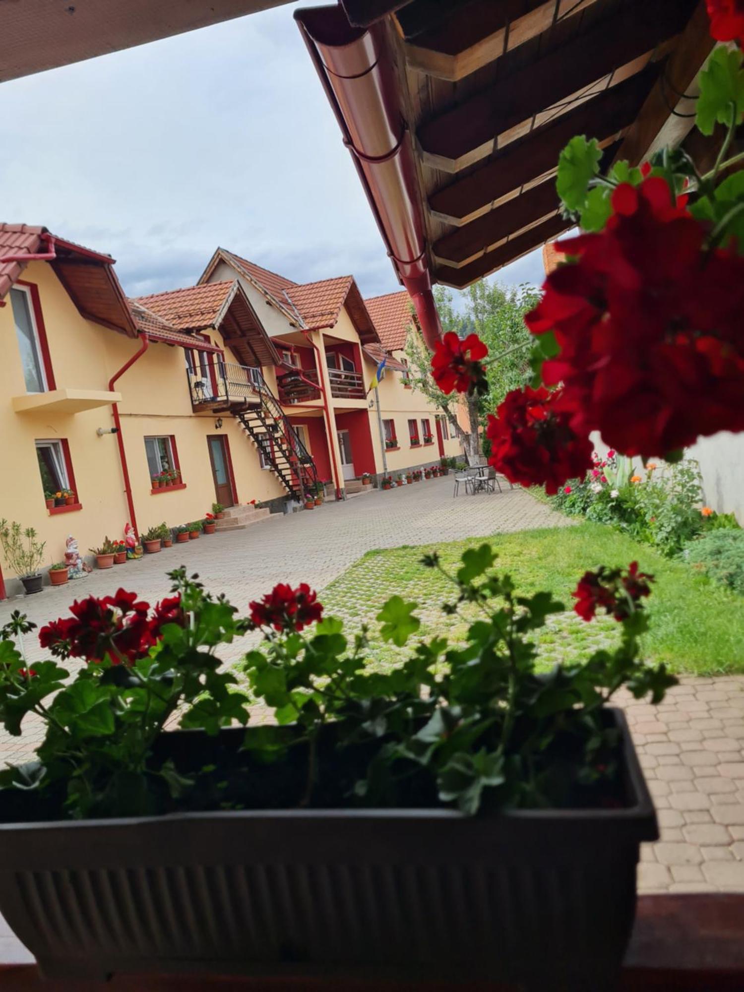 Vila Vladut Зернешті Екстер'єр фото